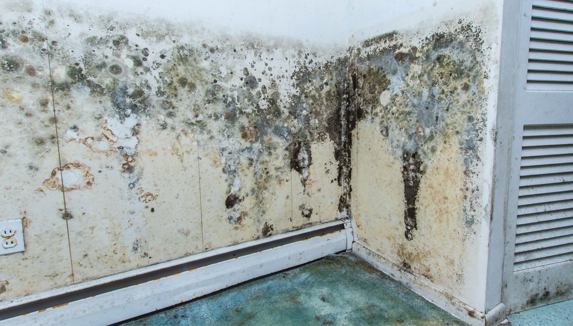 Mold Damage Odor Control Services in Overland Park