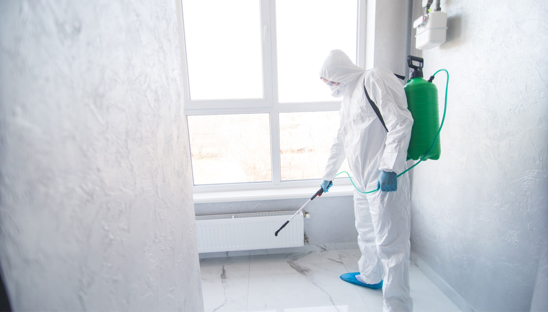 Mold Inspection Services in Overland Park
